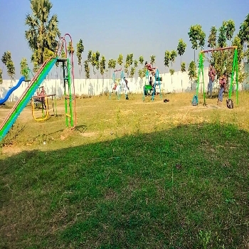 -Kanha World School