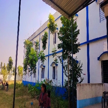 -Kanha World School