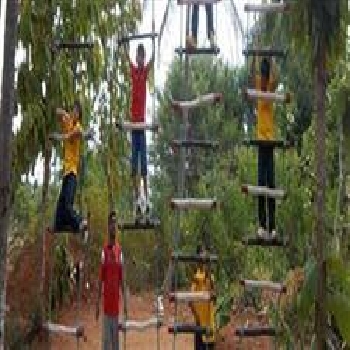 -Harvest International School