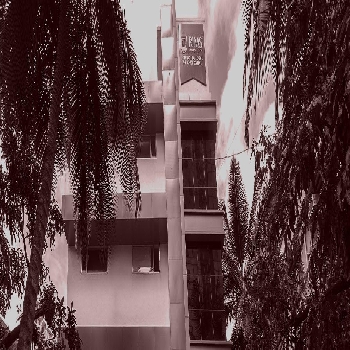 -RIMS International School