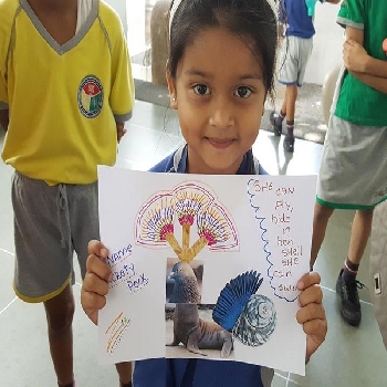 Trio World School