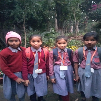 -Mega Mind Public School