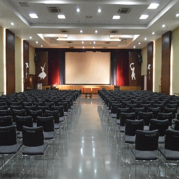 -Delhi Public School