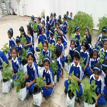 Cluny Convent High School