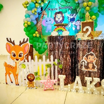 -Party Craze