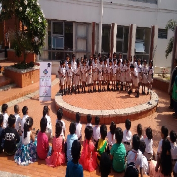 School Of India