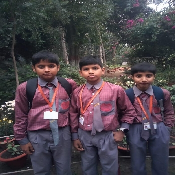 -Mega Mind Public School