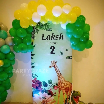 -Party Craze