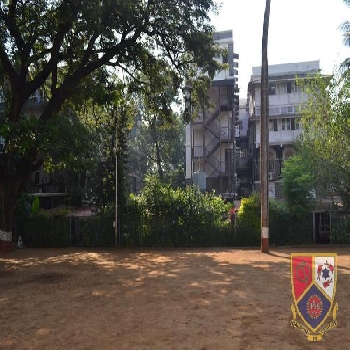-Campion School