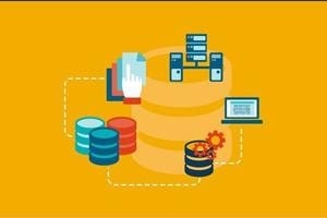 Database Online Training