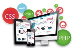 Online Website/Portal