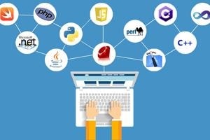 Programming Languages Online Training