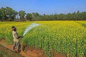Farming